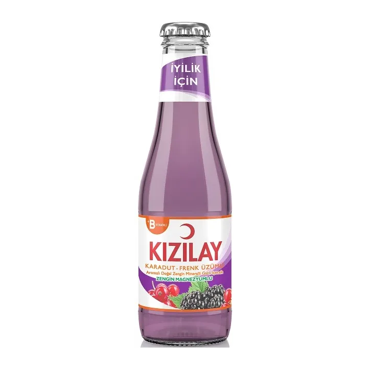 Kizilay Karadut Frenk Uzumu Aroma 200Ml 6X4 24