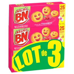 Bn Mini Framboise Lot De 3 X175Gx16