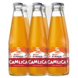 Camlica Portakal Orange Cam 200Mlx24